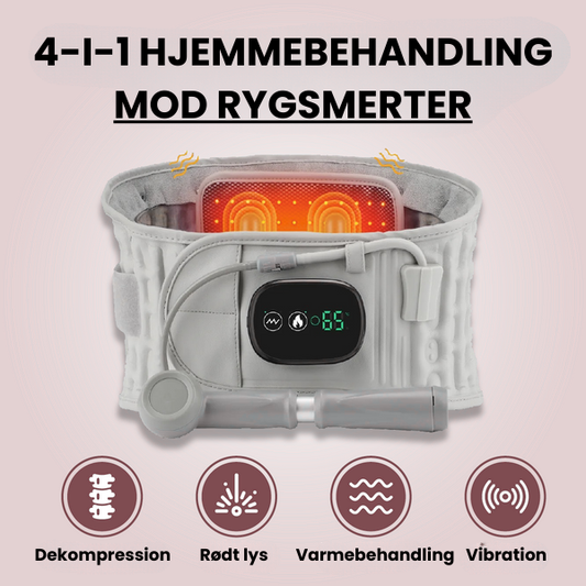 Silvra 4-i-1 Rygbælte